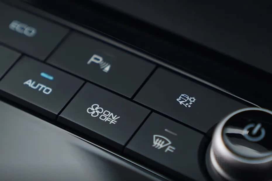 BYD E6