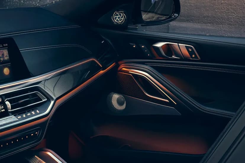 bmw-x6-speaker