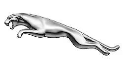 jaguar's image