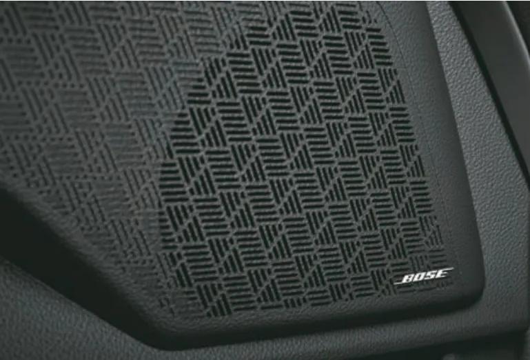 kia-carnival-speakers