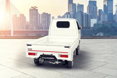 Maruti Super Carry preview 4