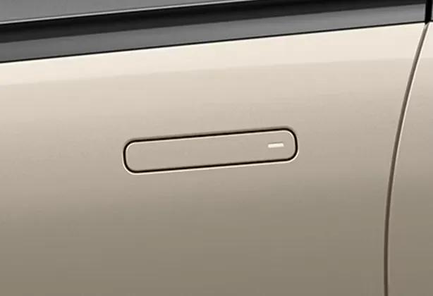 Altroz Flush Door Handle