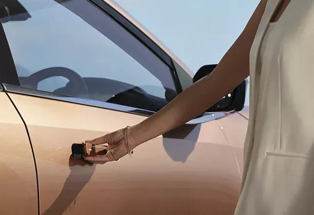 tata-curvv-door-handle