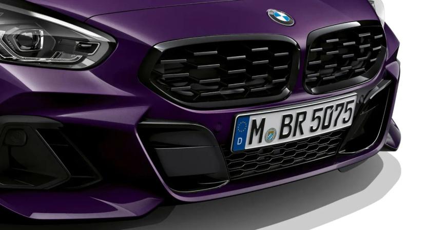 bmw-z4-grill